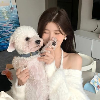 狐及其友