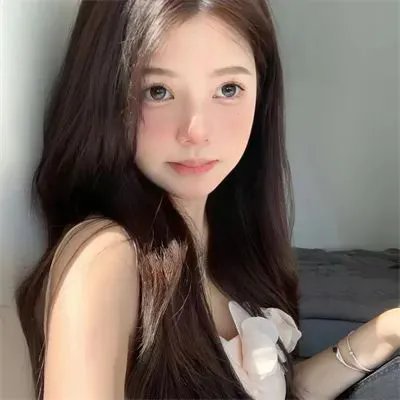 大搜查之女粤语